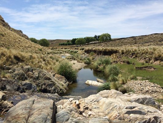 /upload/Campo/6474a531ff921e02b0c99d28/12.JPG