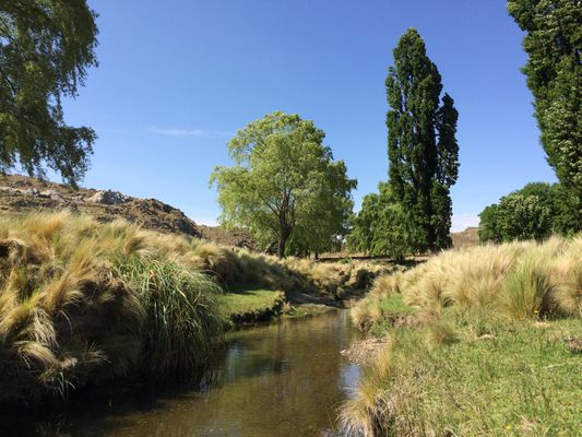 /upload/Campo/6474a531ff921e02b0c99d28/2.JPG