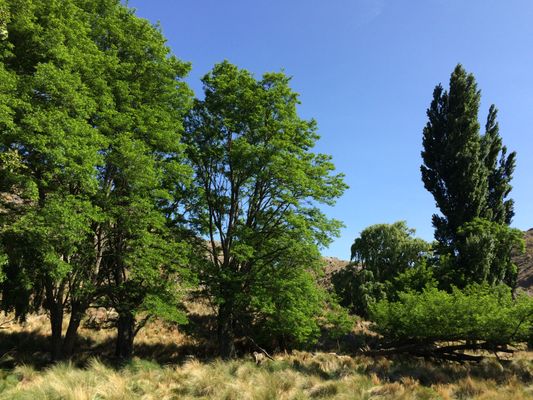 /upload/Campo/6474a531ff921e02b0c99d28/4.JPG