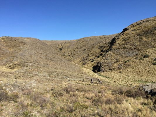 /upload/Campo/6474a531ff921e02b0c99d28/7.JPG