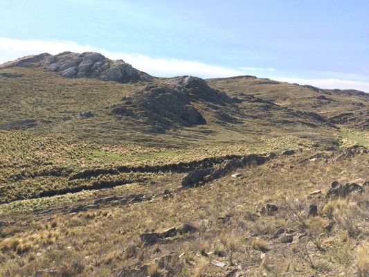 /upload/Campo/6474a531ff921e02b0c99d28/8.JPG