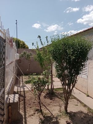 /upload/Casa/64b85e550e807902a8511a5a/13.jpg